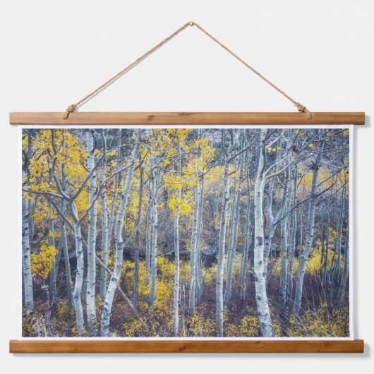 Waldlandschaft in goldenen Herbstblättern Wandteppich Mit Holzrahmen (Vorne)