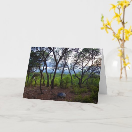 Waldlandschaft Karte (Gelbe Blume)