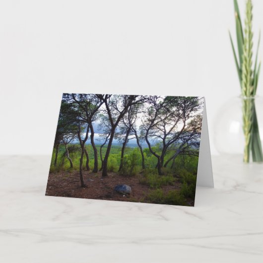 Waldlandschaft Karte (Vorderseite)