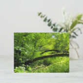 Waldlandschaft Karte (Stehend Vorderseite)