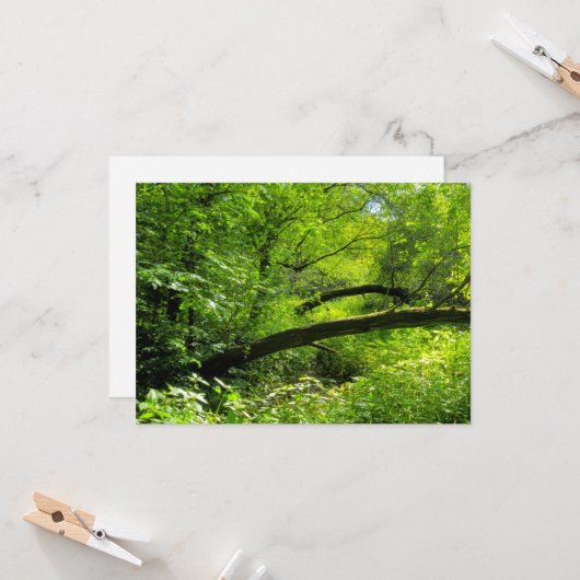 Waldlandschaft Karte (Vorderseite/Rückseite Beispiel)