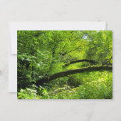 Waldlandschaft Karte (Vorderseite)