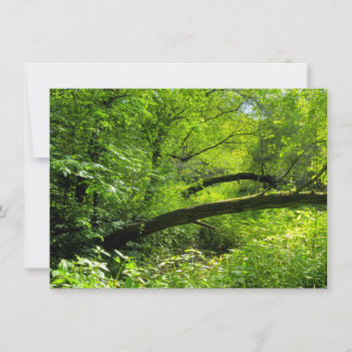 Waldlandschaft Karte