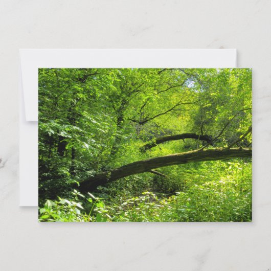 Waldlandschaft Karte (Vorderseite)