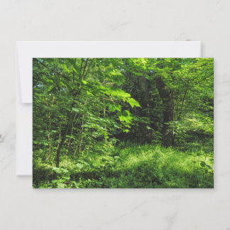 Waldlandschaft Karte