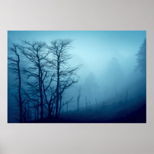 Waldlandschaft Meditation Ruhe Poster