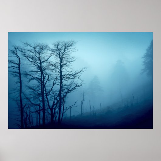 Waldlandschaft Meditation Ruhe Poster (Vorne)