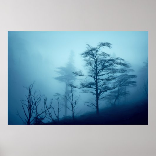 Waldlandschaft Meditation Ruhe Poster (Vorne)