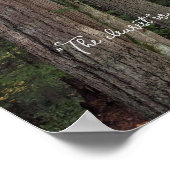 Waldlandschaft mit John Muir Zitat Poster (Ecke)