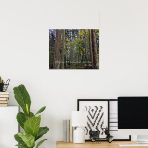 Waldlandschaft mit John Muir Zitat Poster