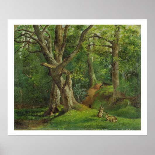 Waldlandschaft mit Kaninchen, 1862 (Öl auf Leinwan Poster (Vorne)