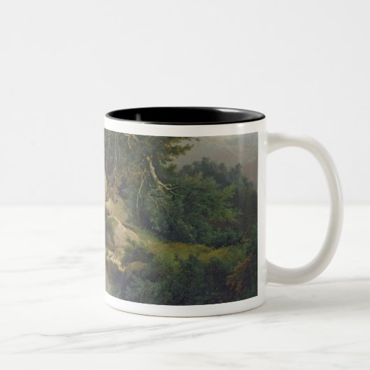 Waldlandschaft mit Wasserfall Zweifarbige Tasse (Rechts)