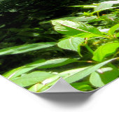 Waldlandschaft Poster (Ecke)