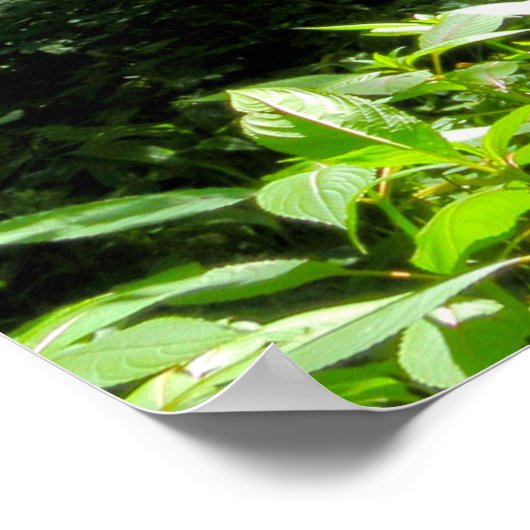 Waldlandschaft Poster (Ecke)