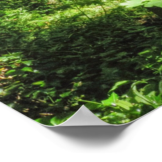 Waldlandschaft Poster (Ecke)