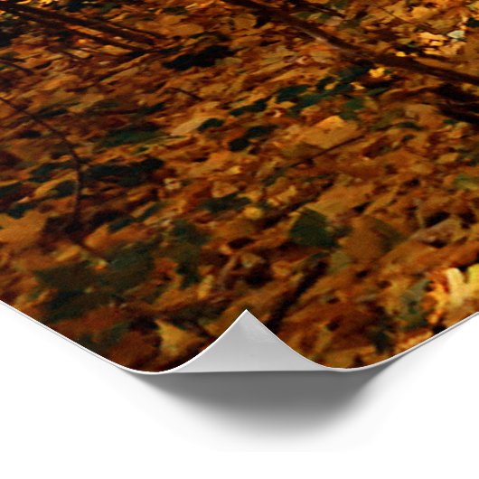 Waldlandschaft Poster (Ecke)