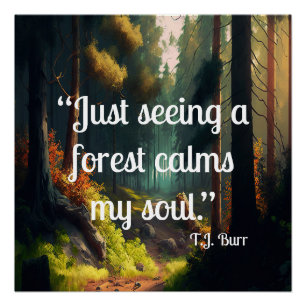 Waldlandschaft Poster