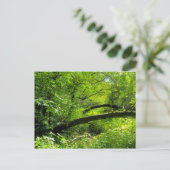 Waldlandschaft Postkarte (Stehend Vorderseite)