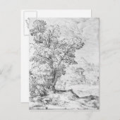 Waldlandschaft Postkarte (Vorne/Hinten)