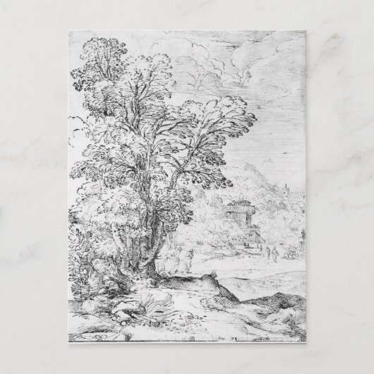 Waldlandschaft Postkarte (Vorderseite)