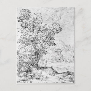 Waldlandschaft Postkarte