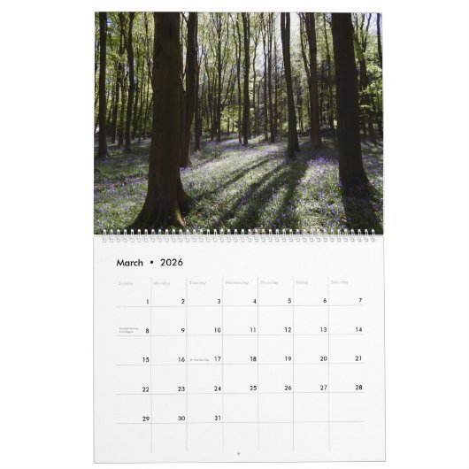 Waldlandschaft Vier Jahreszeiten Kalender (Mär 2026)