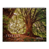Waldlandschaft Vier Jahreszeiten Kalender (Titelbild)