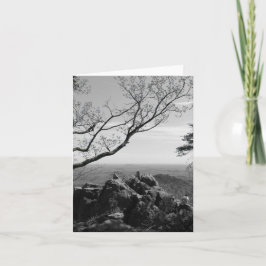 Waldlandschaftsfotos auf der Standardpostkarte Karte