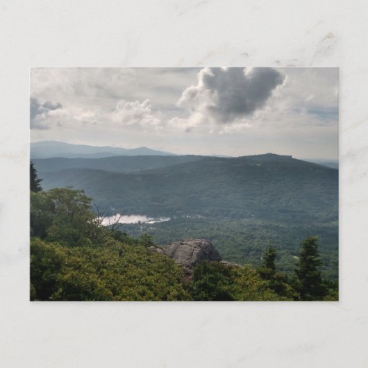 Waldlandschaftsfotos auf der Standardpostkarte Postkarte (Vorderseite)