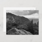 Waldlandschaftsfotos auf der Standardpostkarte Postkarte (Vorne/Hinten)