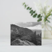 Waldlandschaftsfotos auf der Standardpostkarte Postkarte (Stehend Vorderseite)