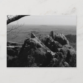 Waldlandschaftsfotos auf der Standardpostkarte Postkarte
