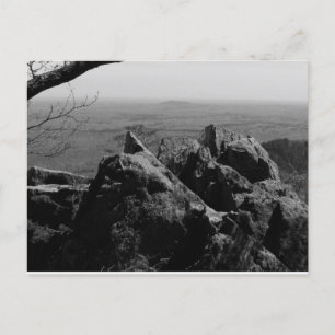 Waldlandschaftsfotos auf der Standardpostkarte Postkarte