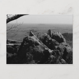 Waldlandschaftsfotos auf der Standardpostkarte Postkarte