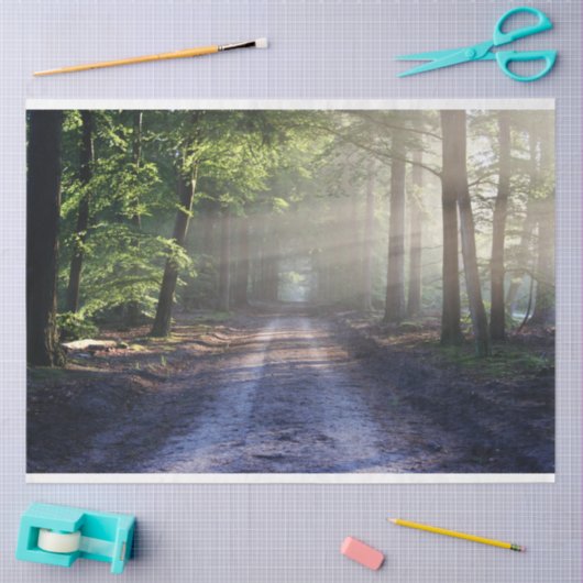 Waldlandschaftspfade 24 Dekoupage Tissue Paper Seidenpapier (Basteln)