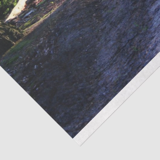 Waldlandschaftspfade 24 Dekoupage Tissue Paper Seidenpapier (Ausschnitt)