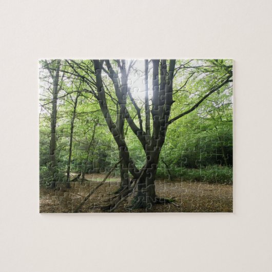 Waldlandsonnenpuzzle Puzzle (Horizontal)