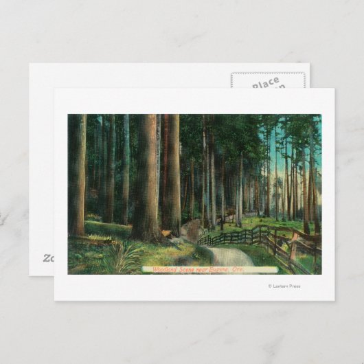 WaldlandszeneEugene, OR Postkarte (Vorne/Hinten)
