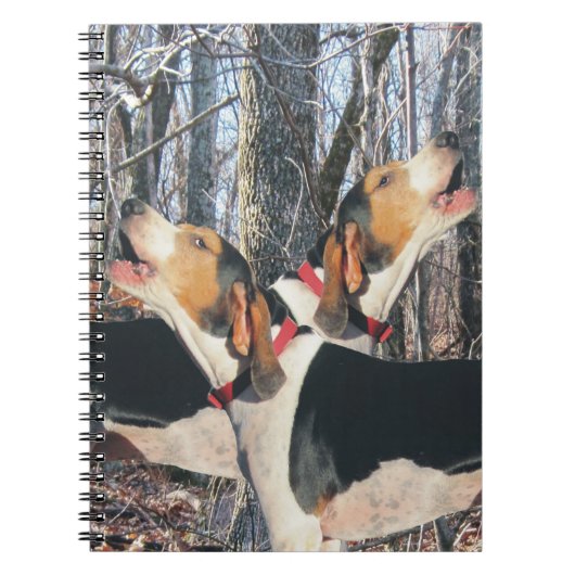 WaldlandTreeing Wanderercoonhound-Notizbuch Notizblock (Vorderseite)