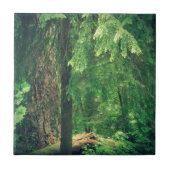 Waldlicht Fliese (Vorderseite)