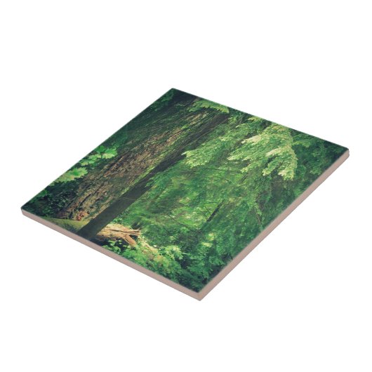Waldlicht Fliese (Seite)