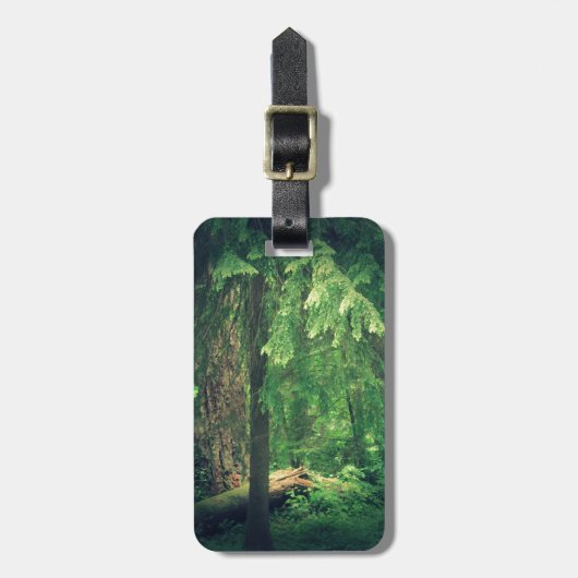 Waldlicht Gepäckanhänger (Vorderseite vertikal)