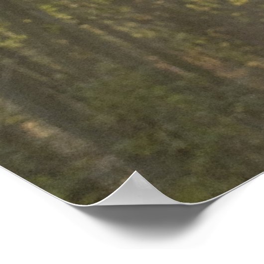 Waldlicht Poster (Ecke)