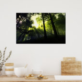 Waldlicht Poster (Küche)