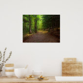 Waldlicht Poster (Küche)