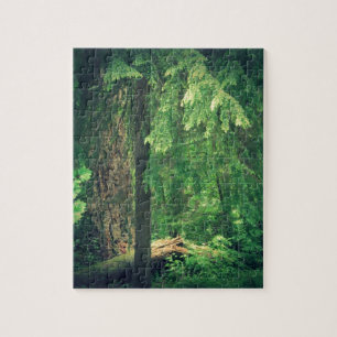 Waldlicht Puzzle