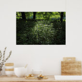 Waldlichter 01 poster (Küche)