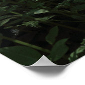 Waldlichter 02 poster (Ecke)