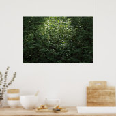 Waldlichter 02 poster (Küche)