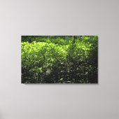 Waldlichter 03 leinwanddruck (Vorderseite)